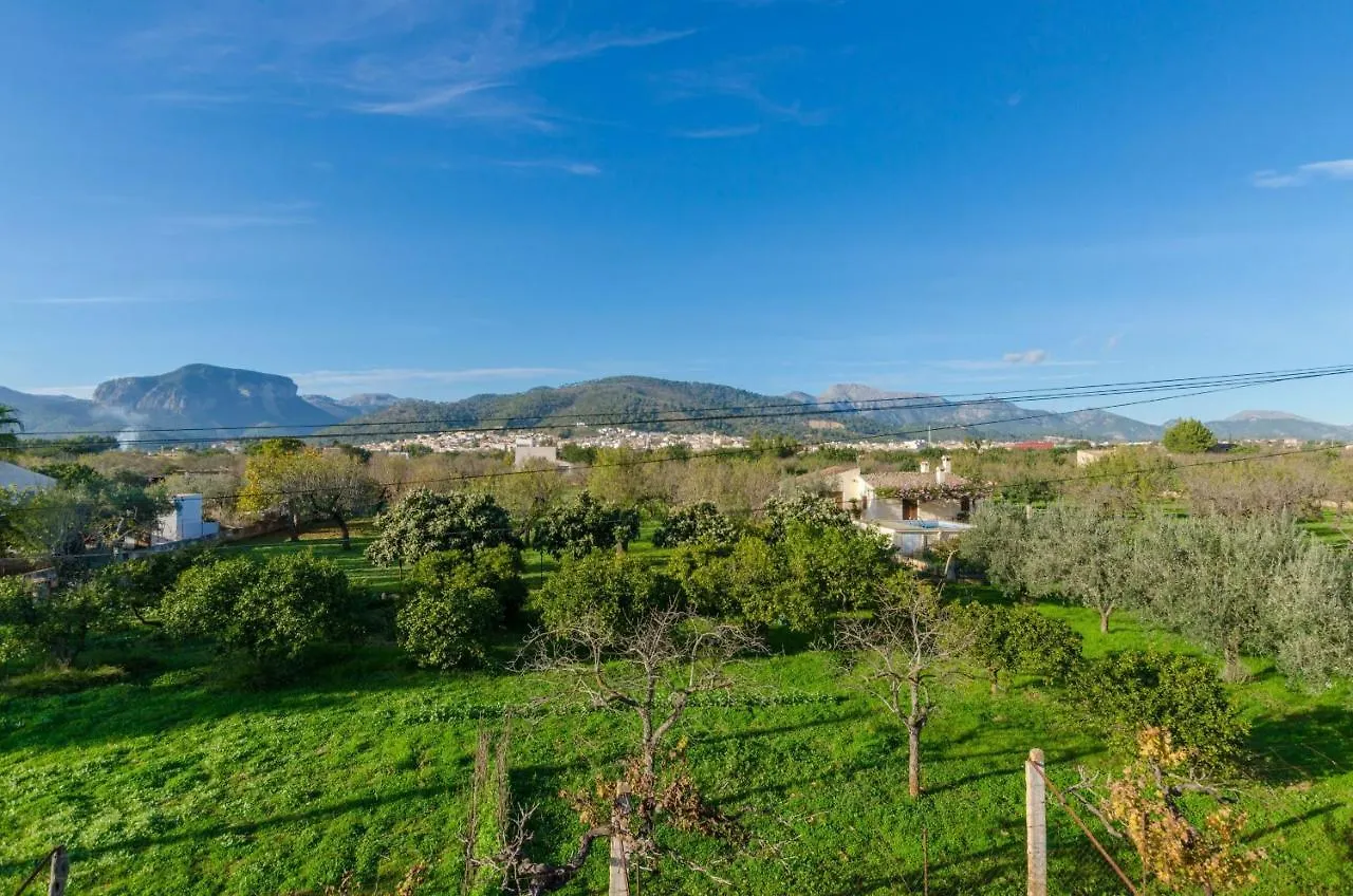 Yourhouse Els Niguls Lloseta