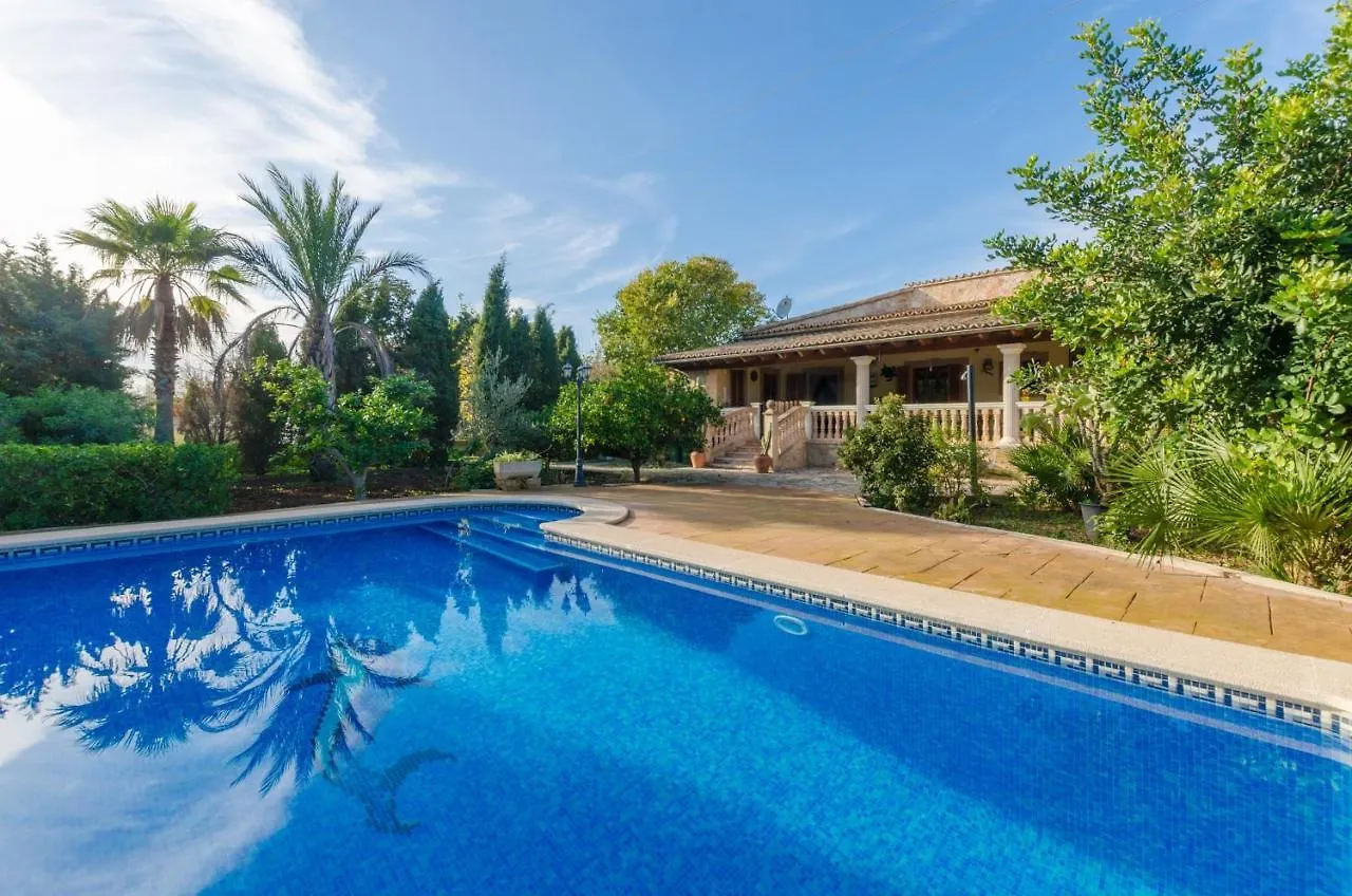 Yourhouse Els Niguls Lloseta