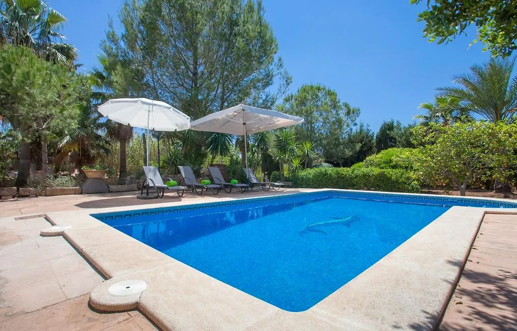Yourhouse Els Niguls Lloseta